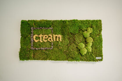 Cteam Österreich GmbH Cteam Österreich GmbH