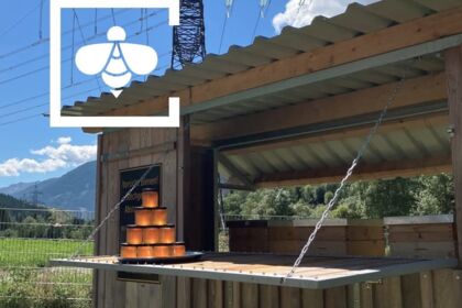 Beeteam Foto Beeteam Foto