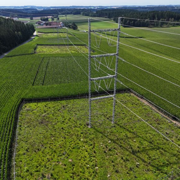 Provisorien Provisorien